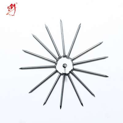 anti rust electro galvanized common nails for construction