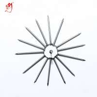 anti rust electro galvanized common nails for construction